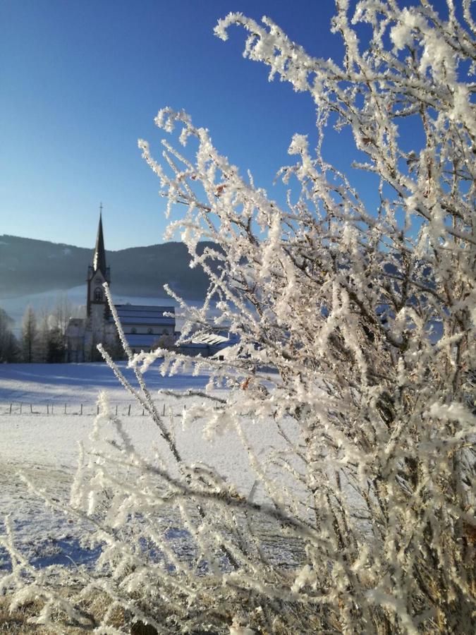 Appartementhaus Novak Mariapfarr Esterno foto